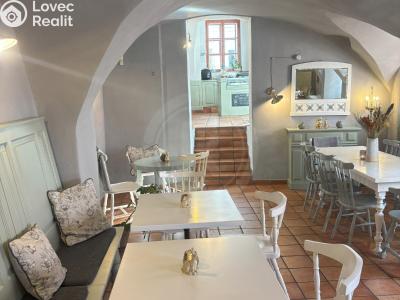 Rent restaurant České Budějovice, Panská č. 5