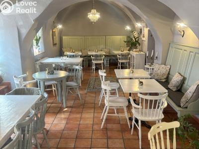 Rent restaurant České Budějovice, Panská č. 6