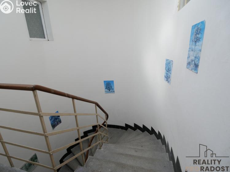 Pronájem bytu 1+KK Hradec Králové, Malé náměstí č. 9