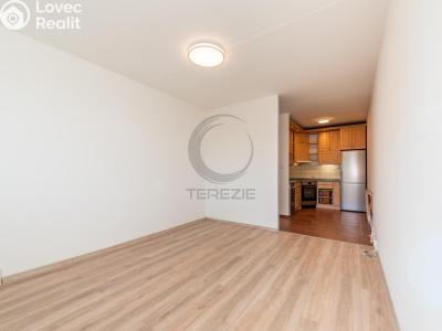 Rent apartment 2+KK Praha, Čimická č. 3