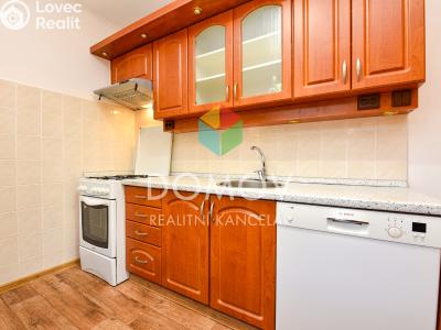 Rent apartment 3+1 Hořovice, Višňová č. 6