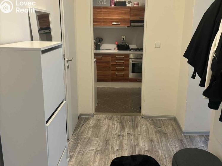 Pronájem bytu 3+1 Ostrava, Kosmova č. 5