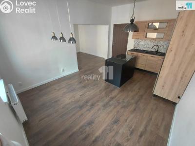 Rent apartment 3+1 Aš, Údolní č. 2