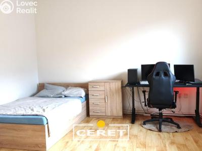 Sale apartment 3+1 Žatec, Adolfa Heyduka č. 5