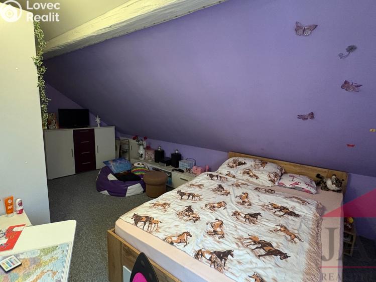 Prodej rodinného domu Klatovy č. 25