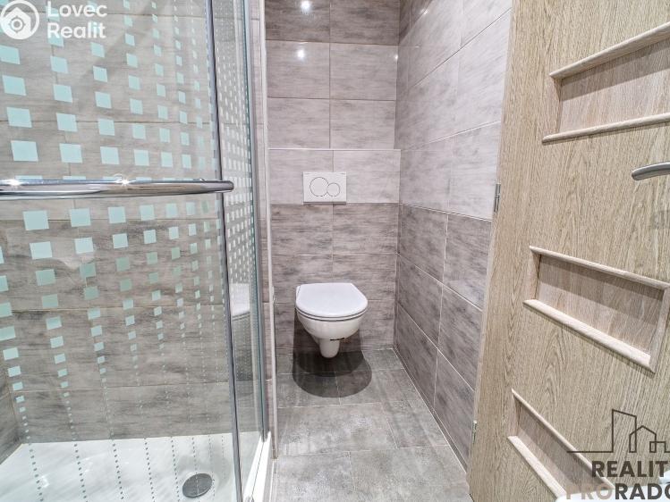 Pronájem bytu 2+1 Frýdek-Místek, Lískovecká 221 č. 19