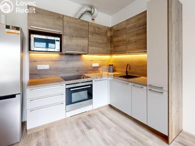 Sale apartment 1+KK Humpolec, Na Skalce č. 1