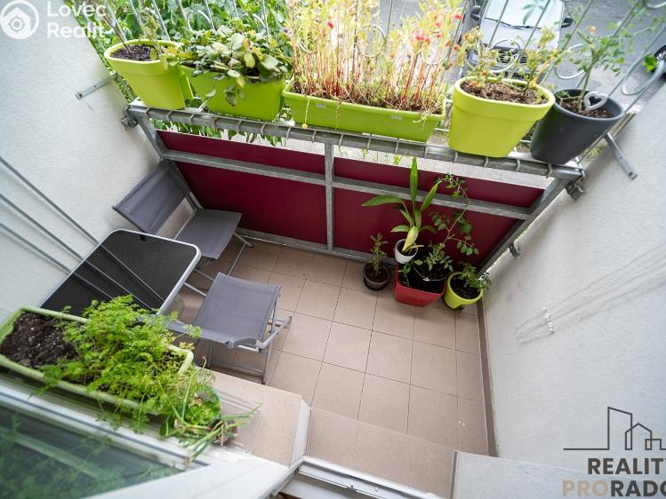 Prodej bytu 4+1 Olomouc, Trnkova č. 16