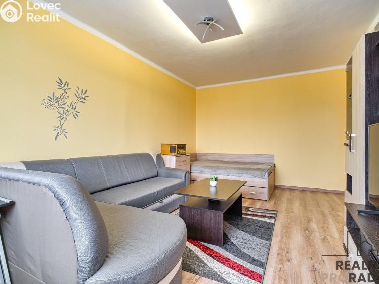 Pronájem bytu 1+1 Karviná, U Studny č. 5