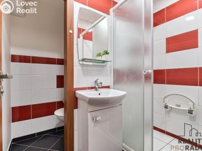 Rent apartment 1+1 Karviná, U Studny č. 6