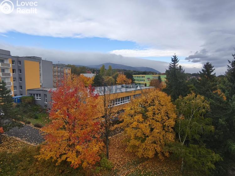 Prodej bytu 1+1 Jirkov, Jezerská č. 7