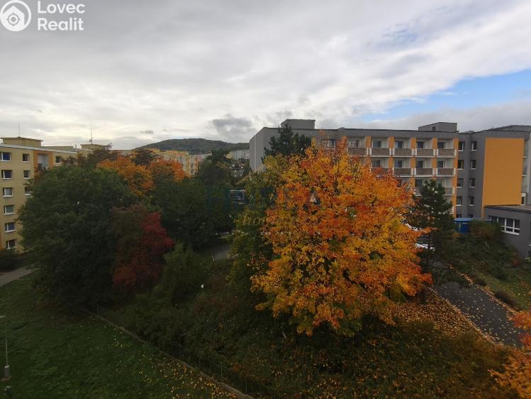 Prodej bytu 1+1 Jirkov, Jezerská č. 15