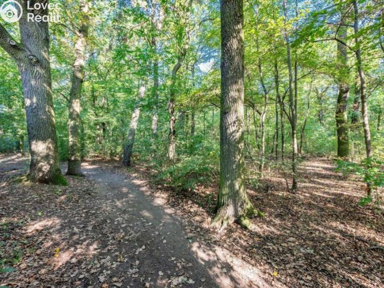 Prodej rodinného domu Praha, Sukovská č. 29