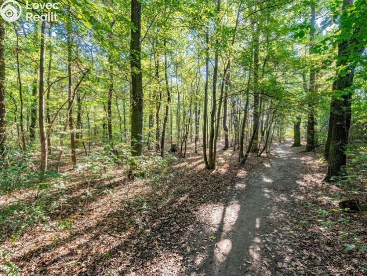 Prodej rodinného domu Praha, Sukovská č. 26