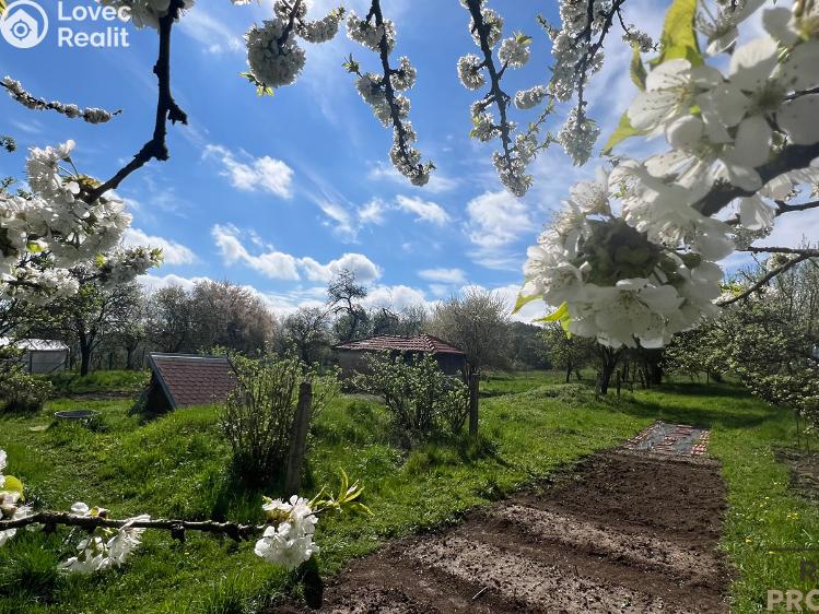 Prodej rodinného domu Svinošice č. 1
