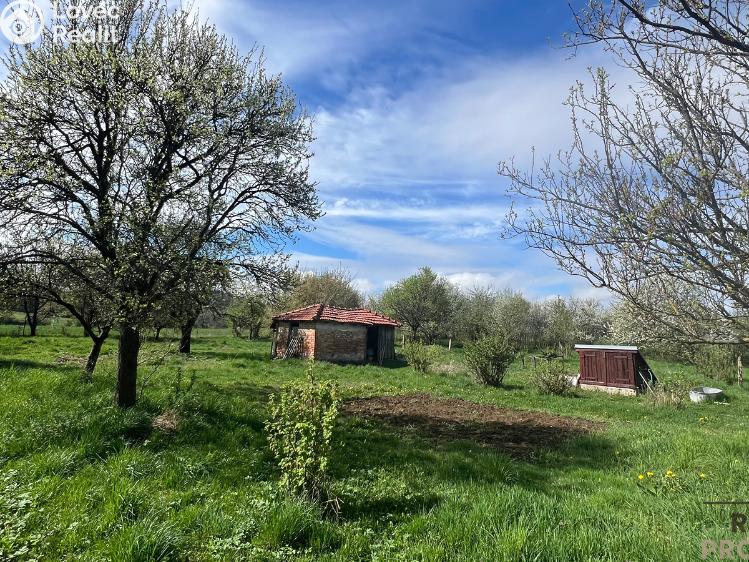 Prodej rodinného domu Svinošice č. 3