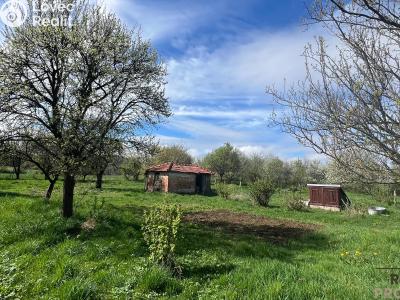 Prodej rodinného domu Svinošice č. 3