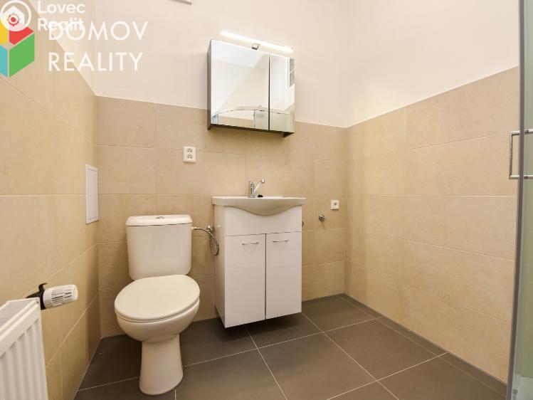 Pronájem bytu 1+1 Králův Dvůr, Bezručova 94 č. 3