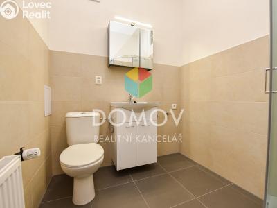Rent apartment 1+1 Králův Dvůr, Bezručova 94 č. 3
