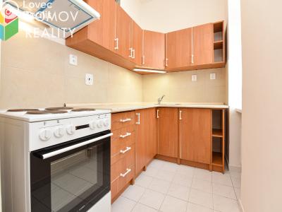 Pronájem bytu 1+1 Králův Dvůr, Bezručova 94 č. 1