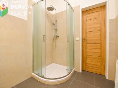 Pronájem bytu 1+1 Králův Dvůr, Bezručova 94 č. 2