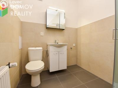 Pronájem bytu 1+1 Králův Dvůr, Bezručova 94 č. 3