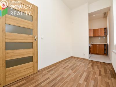 Pronájem bytu 1+1 Králův Dvůr, Bezručova 94 č. 4