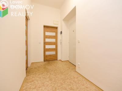 Pronájem bytu 1+1 Králův Dvůr, Bezručova 94 č. 7