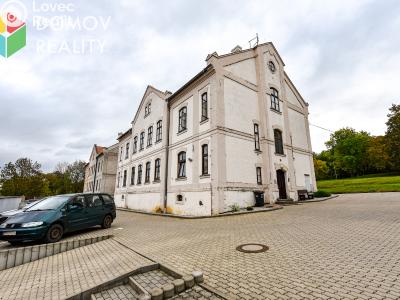 Pronájem bytu 1+1 Králův Dvůr, Bezručova 94 č. 8