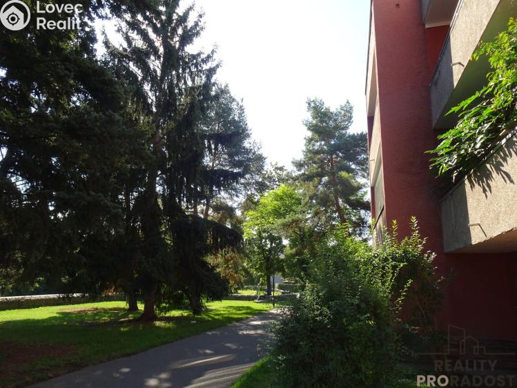 Pronájem bytu 3+1 Pardubice, Bělobranské náměstí č. 14
