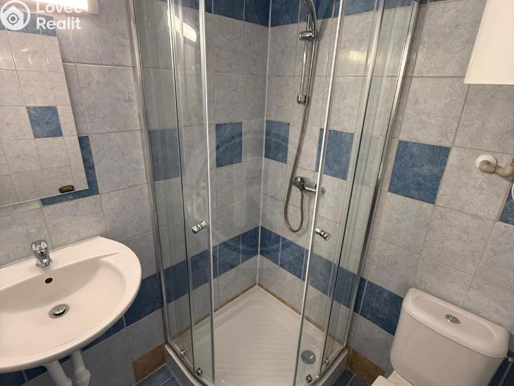 Pronájem bytu 1+1 České Budějovice, Družstevní 139/14 č. 7