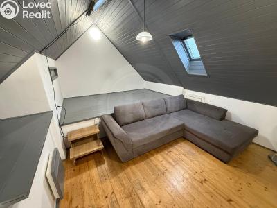 Pronájem bytu 1+1 České Budějovice, Družstevní č. 1