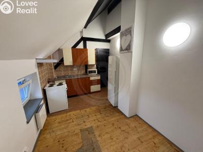 Pronájem bytu 1+1 České Budějovice, Družstevní č. 2