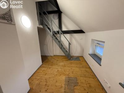 Pronájem bytu 1+1 České Budějovice, Družstevní č. 3