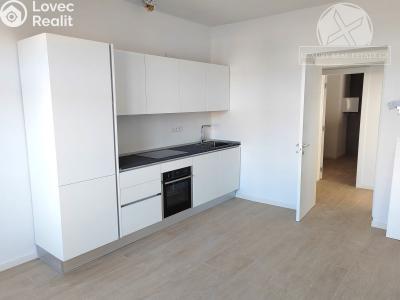 Sale apartment 1+KK Praha, Kolmá č. 6