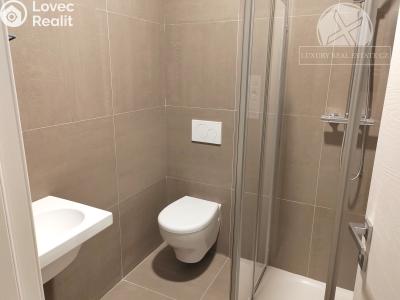 Sale apartment 4+KK Praha, Na výběžku č. 13