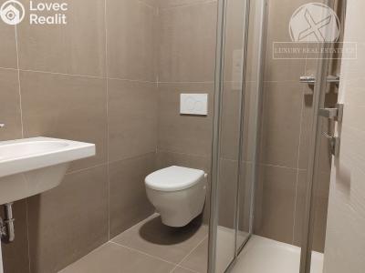 Sale apartment 4+KK Praha, Na výběžku č. 14