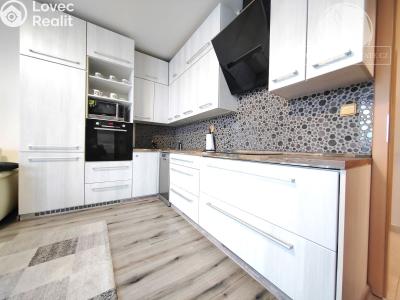 Sale apartment 2+KK Kladno č. 6