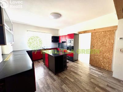 Продаж сімейного будинку Všemina č. 6