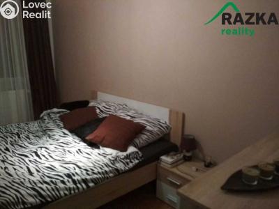 Rent apartment 3+1 Přimda, Nová č. 4