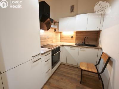 Rent apartment 2+1 Praha, Školská č. 1