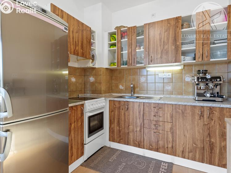 Prodej bytu 1+KK Zbuzany, Lomená č. 8