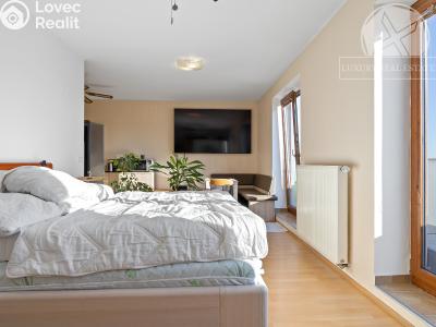 Prodej bytu 1+KK Zbuzany, Lomená č. 4