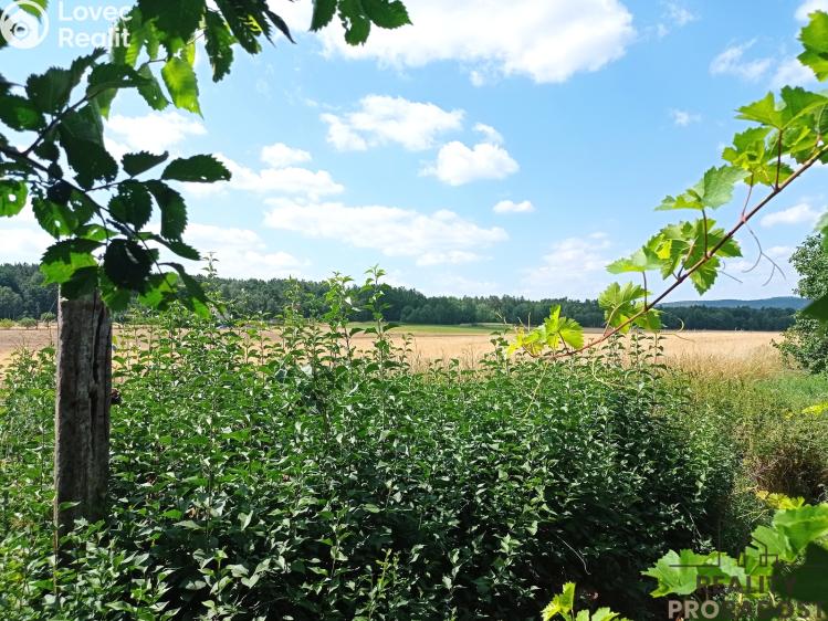 Prodej chalupy Krty č. 9