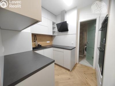 Rent apartment 2+1 Praha, Podolská č. 2