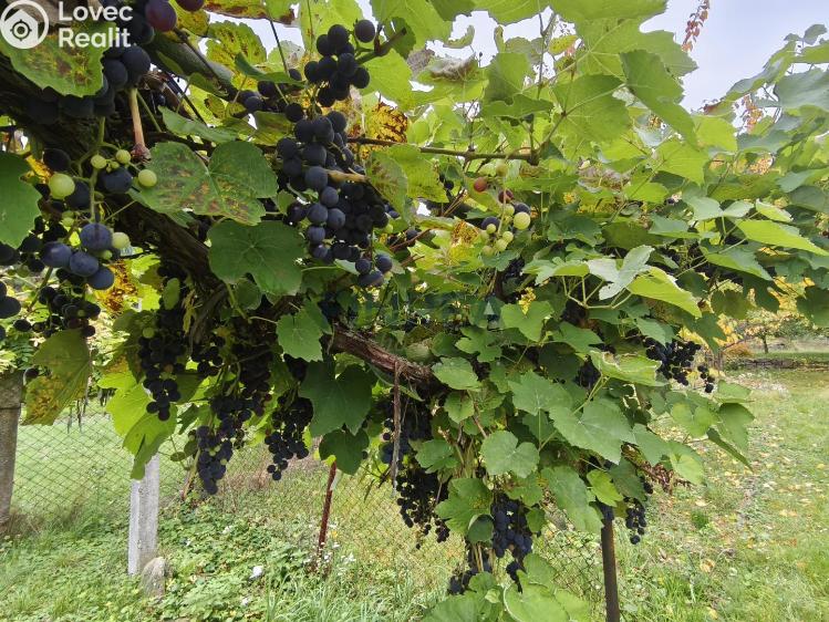 Prodej vily Lovosice, U Výtopny č. 15