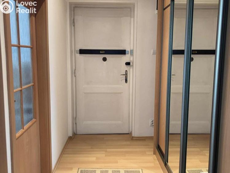 Pronájem bytu 1+KK Ostrava, Reální č. 7