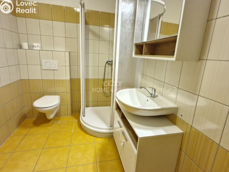 Pronájem bytu 3+KK Pohořelice, Znojemská č. 13