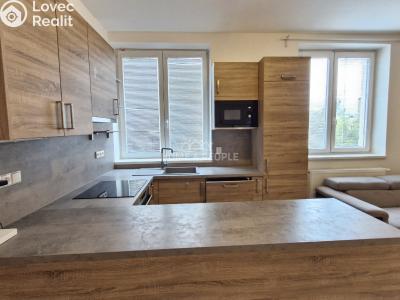 Rent apartment 3+KK Pohořelice, Znojemská č. 1