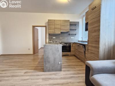 Rent apartment 3+KK Pohořelice, Znojemská č. 3